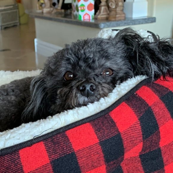 Meet your Posher, Cindy - Picture 2 of 2